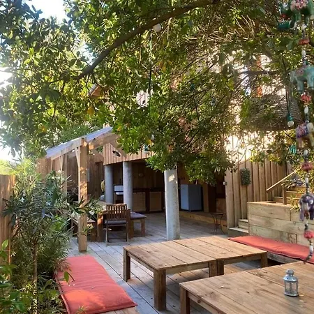 New Wooden House 300 M From Beach, Forest, 1 To 11 People Holiday home