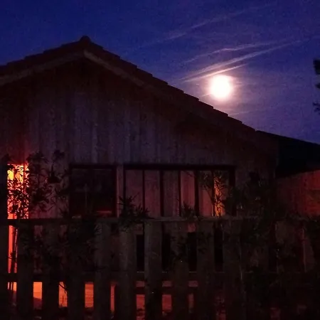 Holiday home New Wooden House 300 M From Beach, Forest, 1 To 11 People *