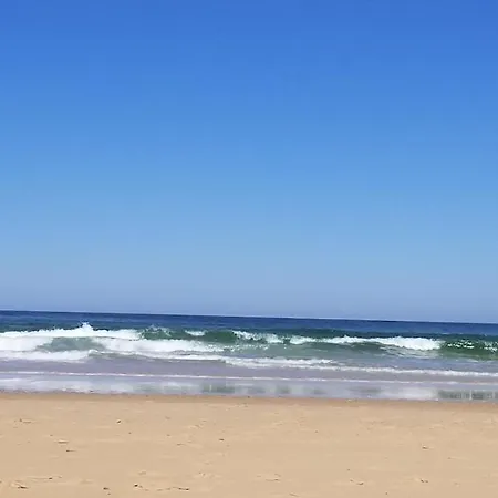New Wooden House 300 M From Beach, Forest, 1 To 11 People מימיזן-פלאז'