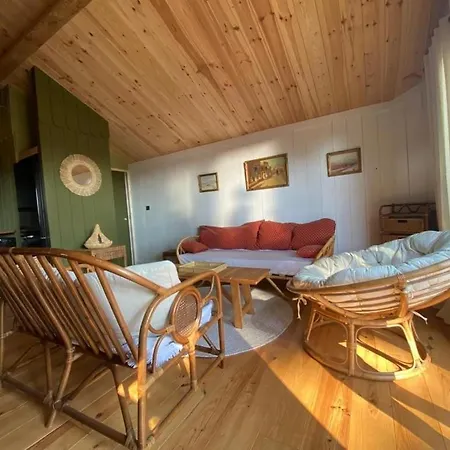 New Wooden House 300 M From Beach, Forest, 1 To 11 People Holiday home Mimizan-Plage