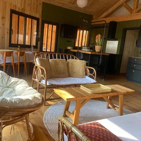 Holiday home New Wooden House 300 M From Beach, Forest, 1 To 11 People Mimizan-Plage