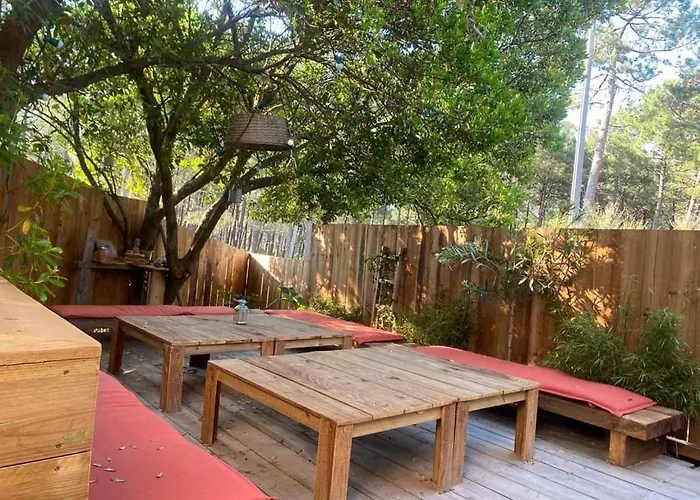 Holiday home New Wooden House 300 M From Beach, Forest, 1 To 11 People Mimizan-Plage